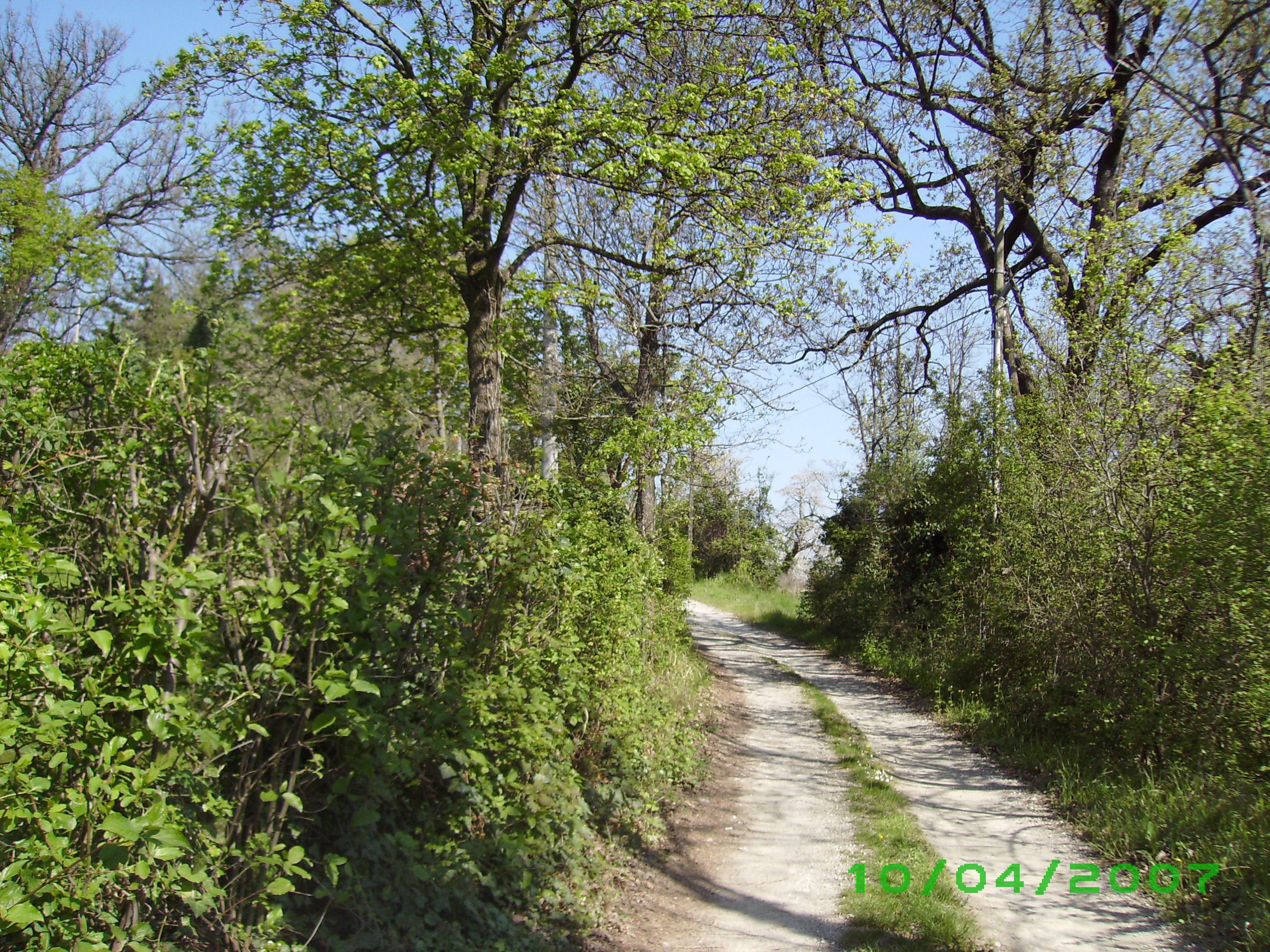 IMGP0031